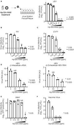 Electrolyzed hypochlorous acid water exhibits potent disinfectant activity against various viruses through irreversible protein aggregation